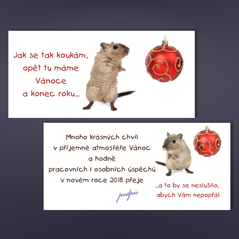 Novoročenky n10
